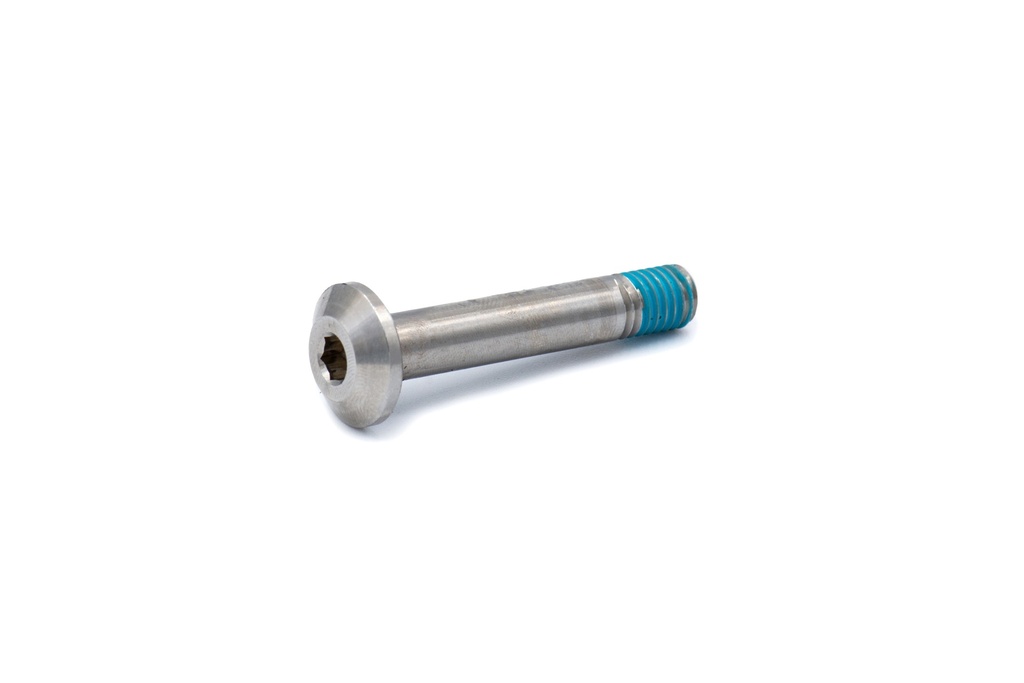 Shock Screw 8x1.25x45